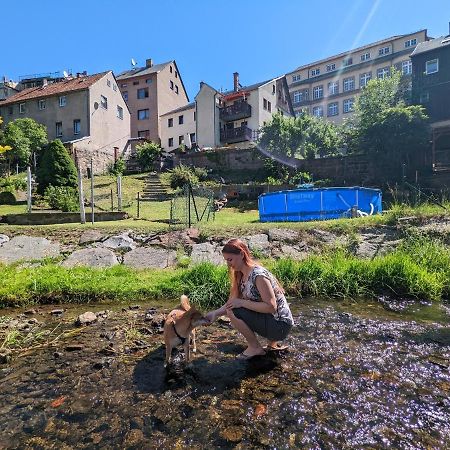 Apartament Urlaubstraum Mit Pool, Terrasse & Fluss Im Garten - Ut Sebnitz Zewnętrze zdjęcie