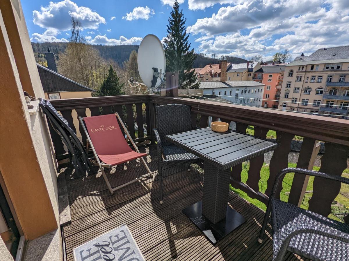 Apartament Urlaubstraum Mit Pool, Terrasse & Fluss Im Garten - Ut Sebnitz Zewnętrze zdjęcie