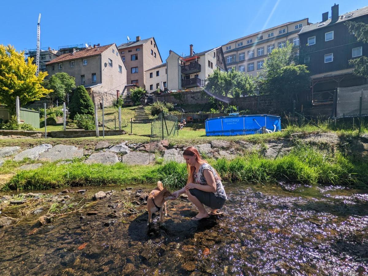 Apartament Urlaubstraum Mit Pool, Terrasse & Fluss Im Garten - Ut Sebnitz Zewnętrze zdjęcie