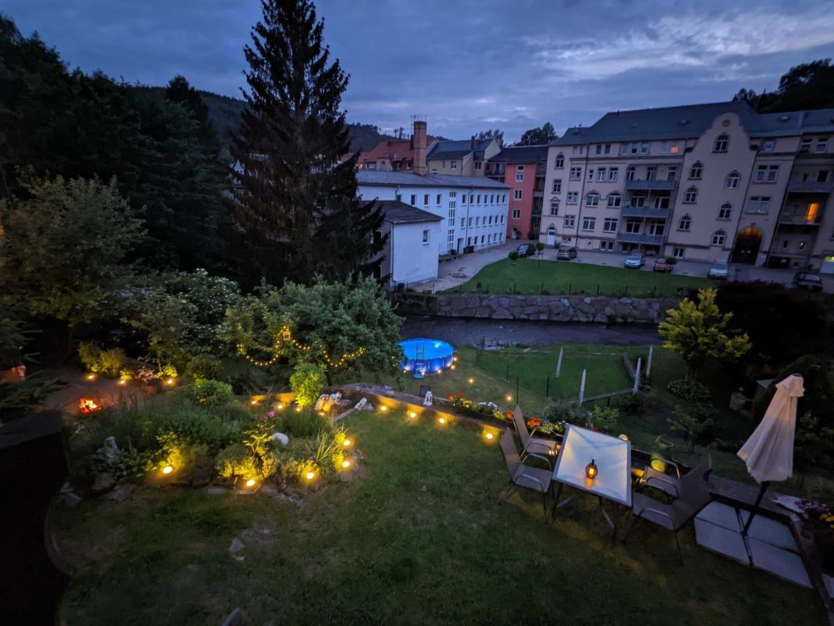 Apartament Urlaubstraum Mit Pool, Terrasse & Fluss Im Garten - Ut Sebnitz Zewnętrze zdjęcie