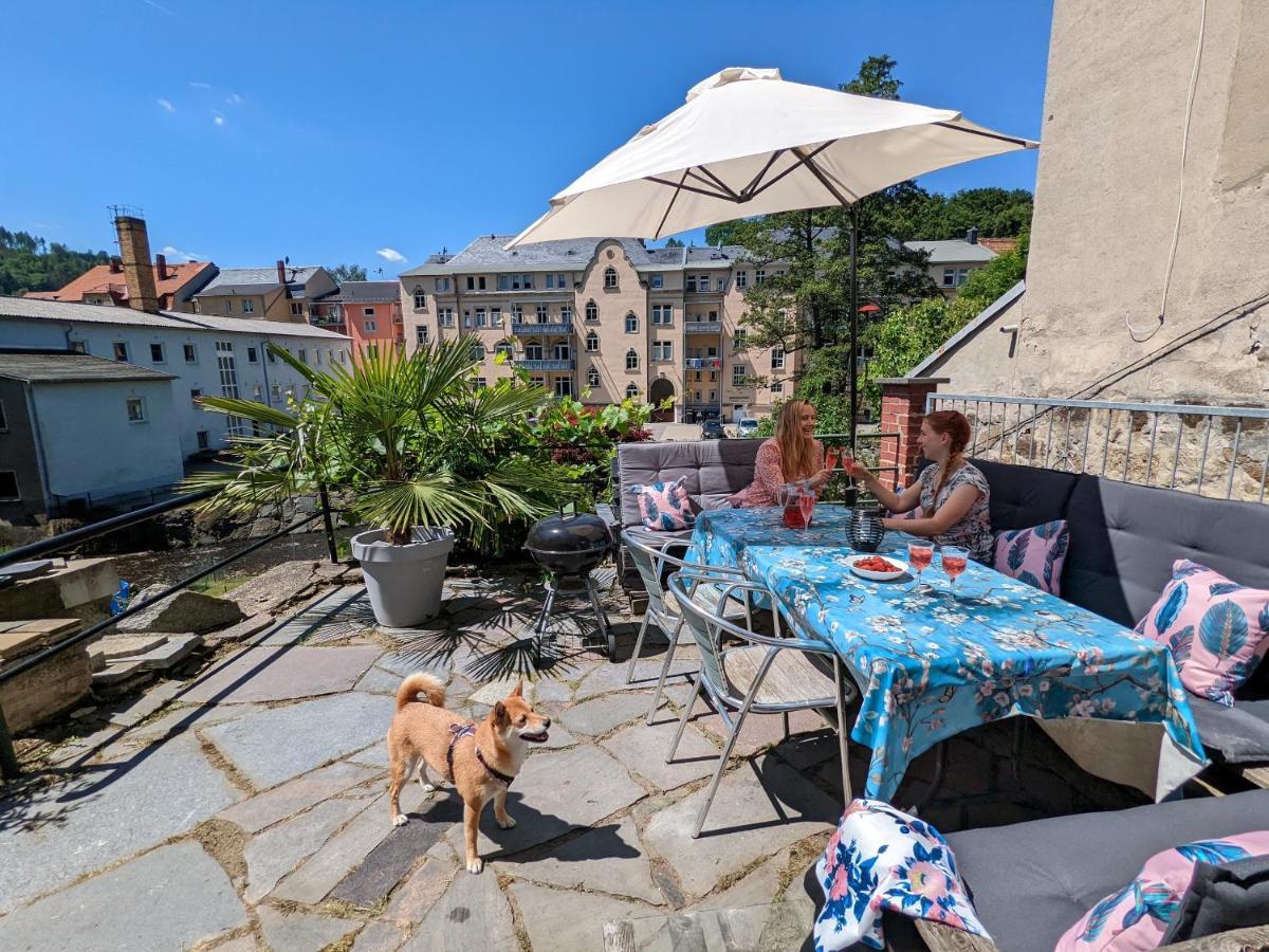 Apartament Urlaubstraum Mit Pool, Terrasse & Fluss Im Garten - Ut Sebnitz Zewnętrze zdjęcie