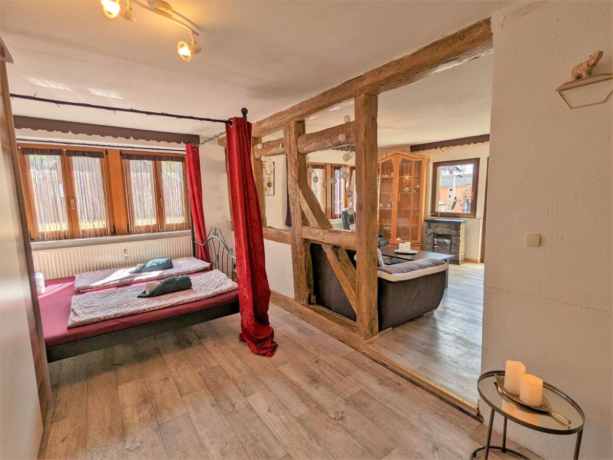 Apartament Urlaubstraum Mit Pool, Terrasse & Fluss Im Garten - Ut Sebnitz Zewnętrze zdjęcie
