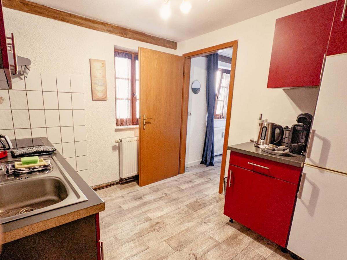 Apartament Urlaubstraum Mit Pool, Terrasse & Fluss Im Garten - Ut Sebnitz Zewnętrze zdjęcie