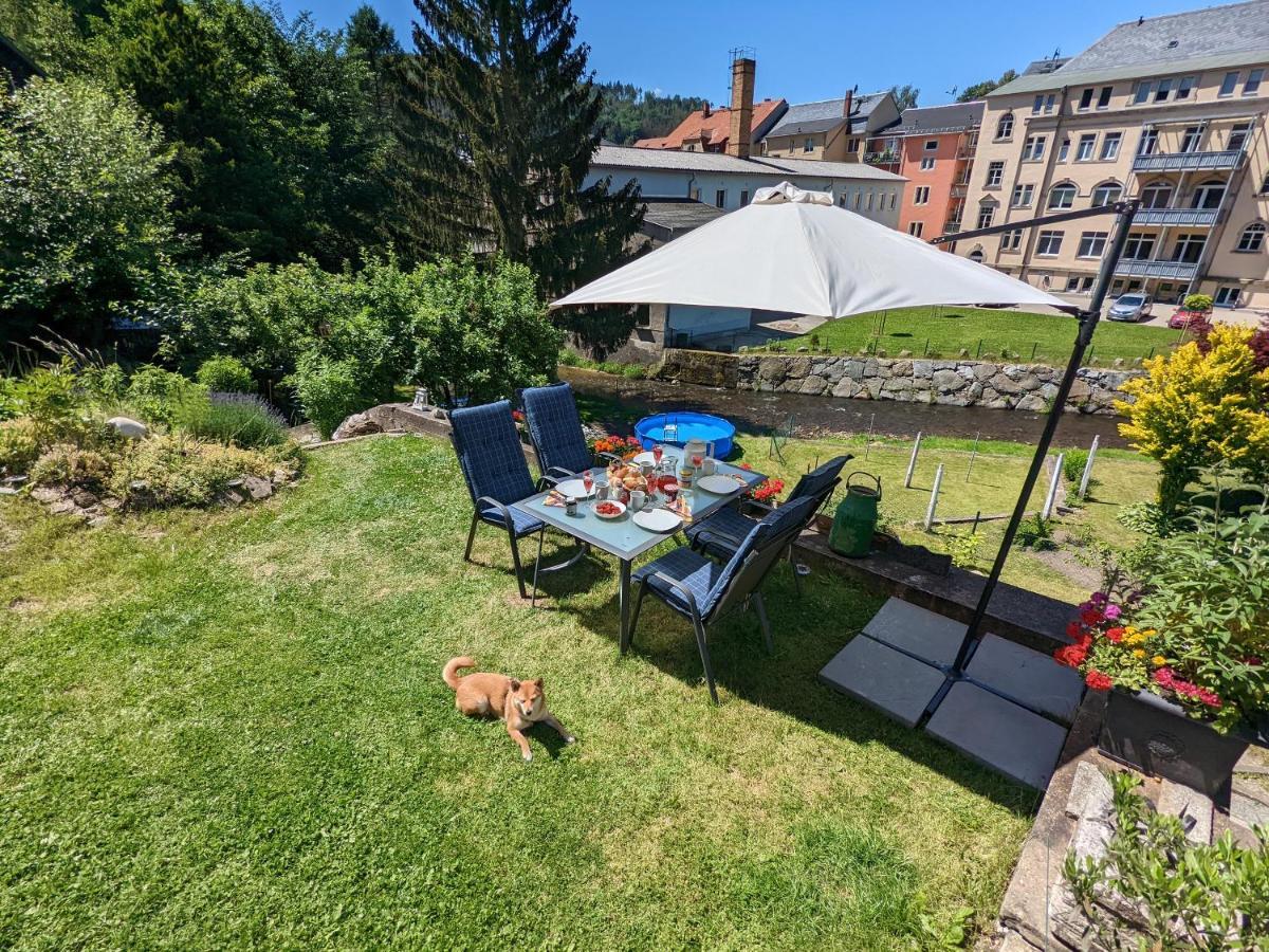 Apartament Urlaubstraum Mit Pool, Terrasse & Fluss Im Garten - Ut Sebnitz Zewnętrze zdjęcie