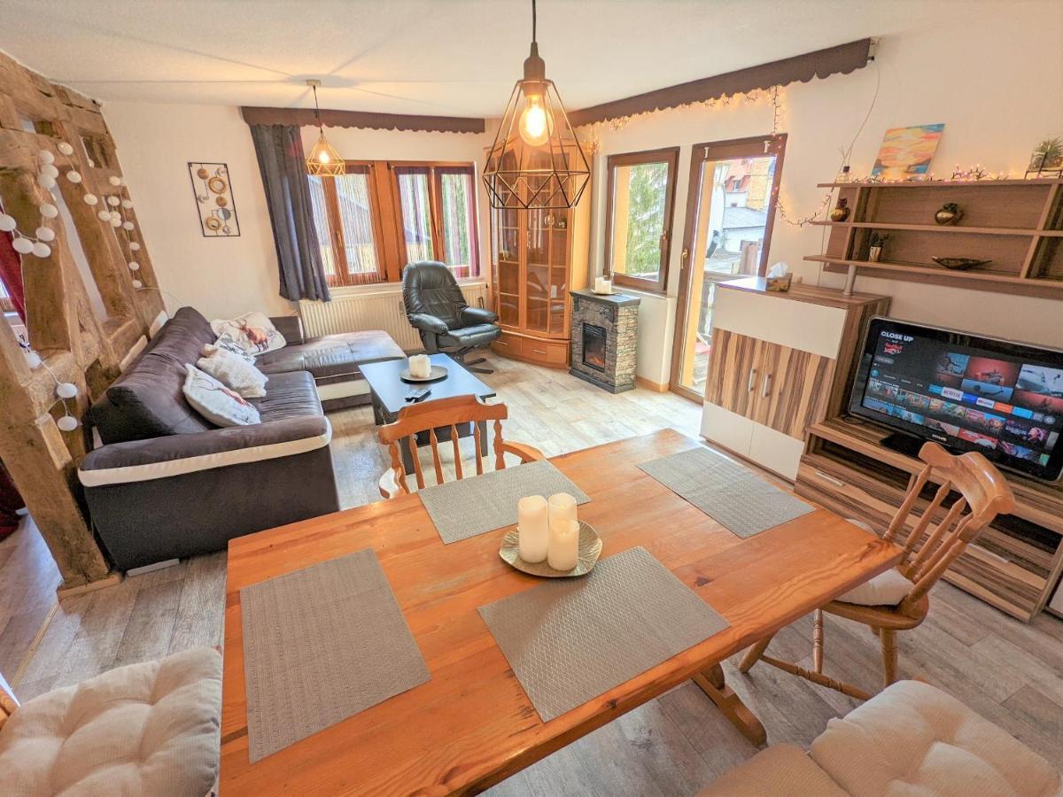 Apartament Urlaubstraum Mit Pool, Terrasse & Fluss Im Garten - Ut Sebnitz Zewnętrze zdjęcie