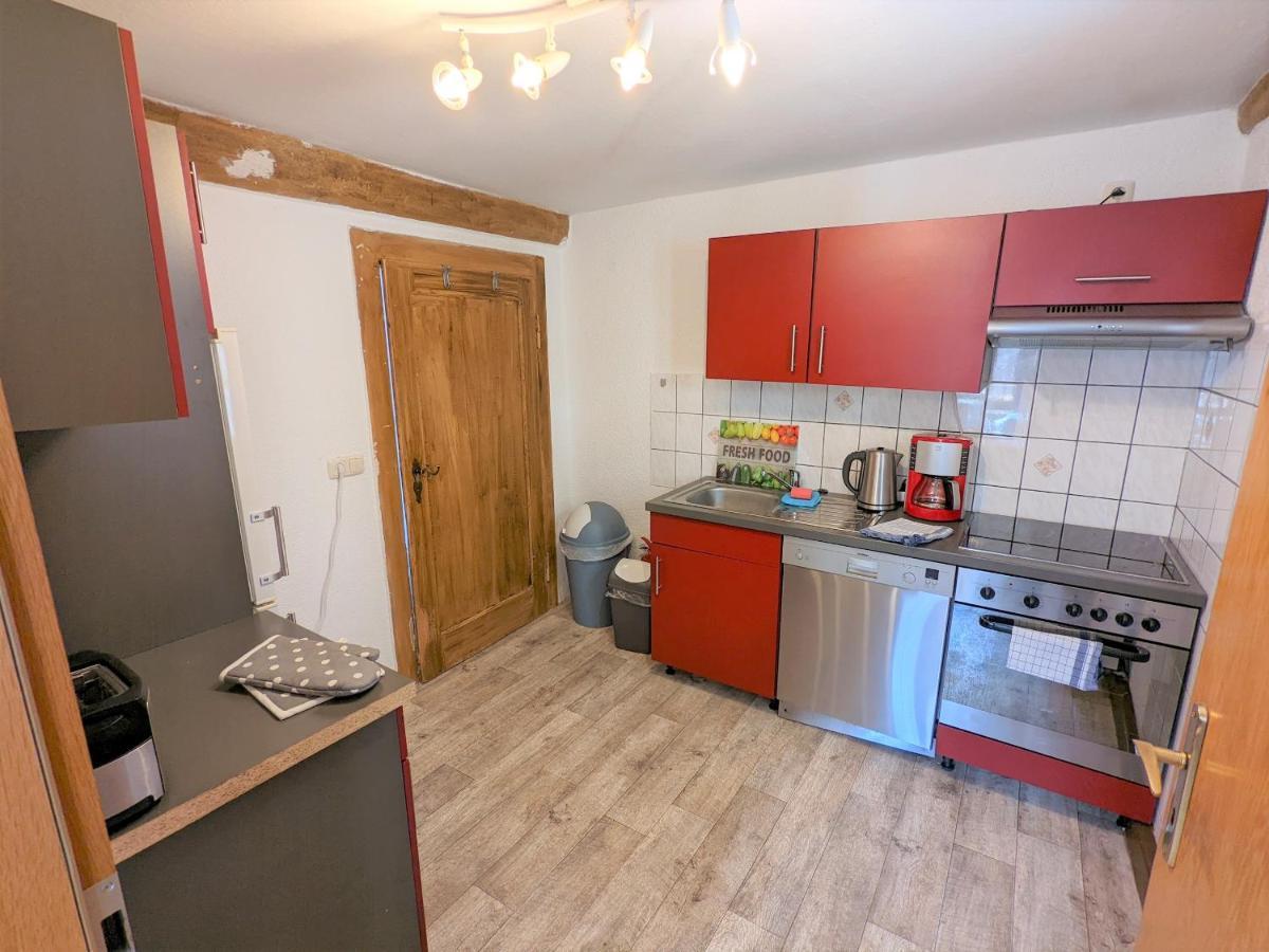 Apartament Urlaubstraum Mit Pool, Terrasse & Fluss Im Garten - Ut Sebnitz Zewnętrze zdjęcie