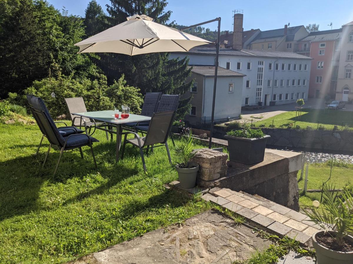 Apartament Urlaubstraum Mit Pool, Terrasse & Fluss Im Garten - Ut Sebnitz Zewnętrze zdjęcie