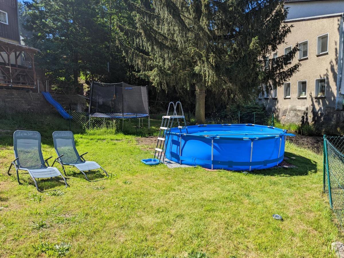Apartament Urlaubstraum Mit Pool, Terrasse & Fluss Im Garten - Ut Sebnitz Zewnętrze zdjęcie