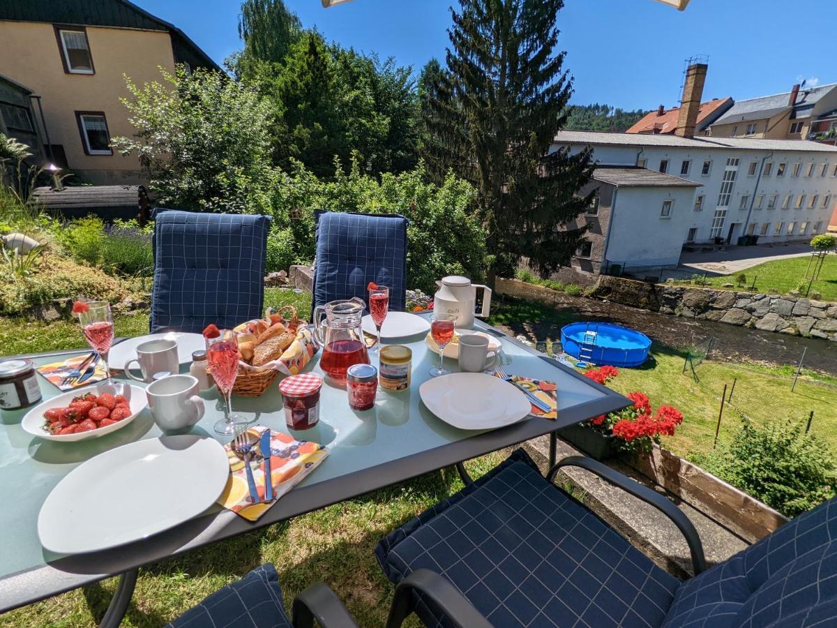 Apartament Urlaubstraum Mit Pool, Terrasse & Fluss Im Garten - Ut Sebnitz Zewnętrze zdjęcie