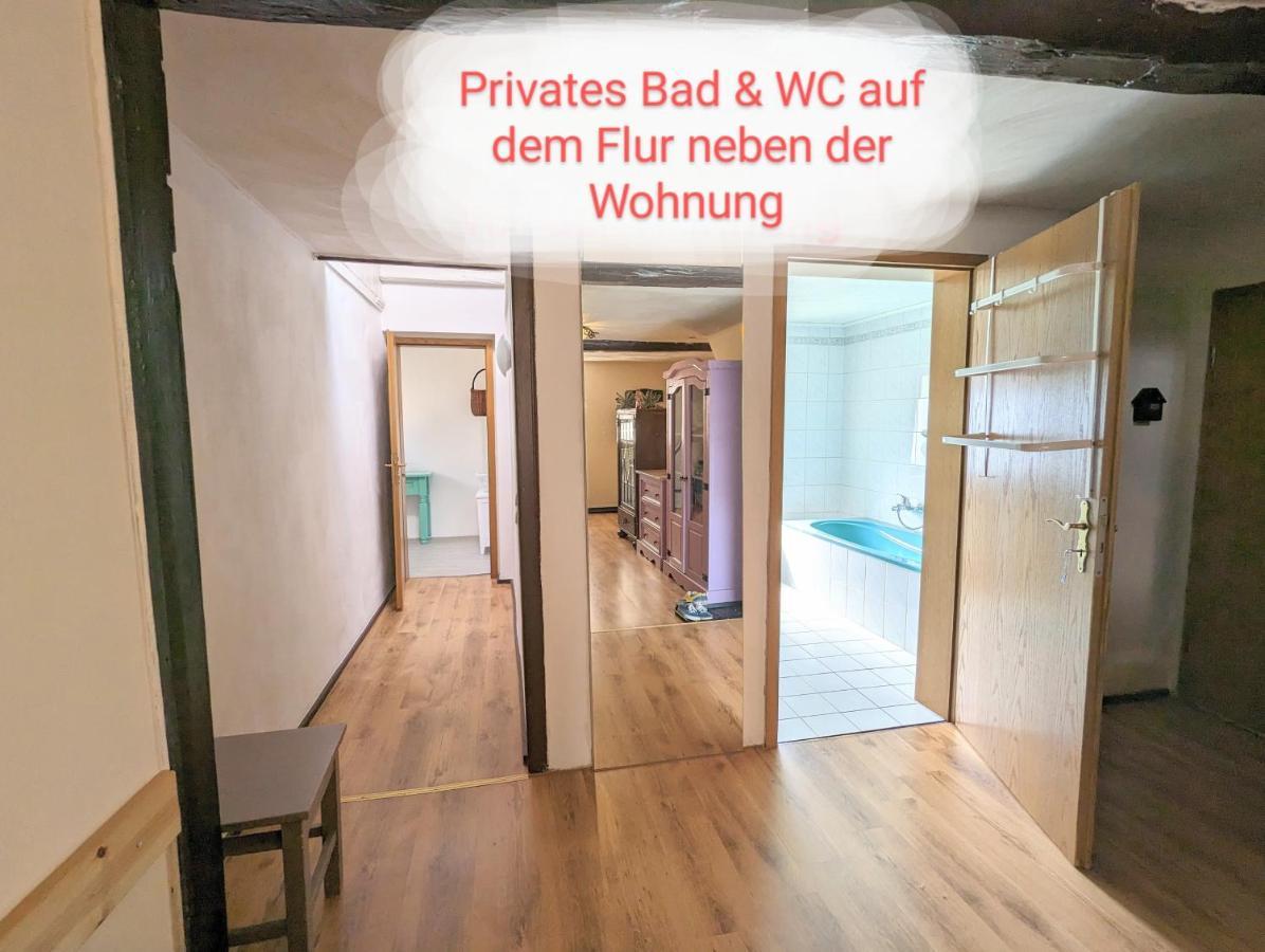 Apartament Urlaubstraum Mit Pool, Terrasse & Fluss Im Garten - Ut Sebnitz Zewnętrze zdjęcie